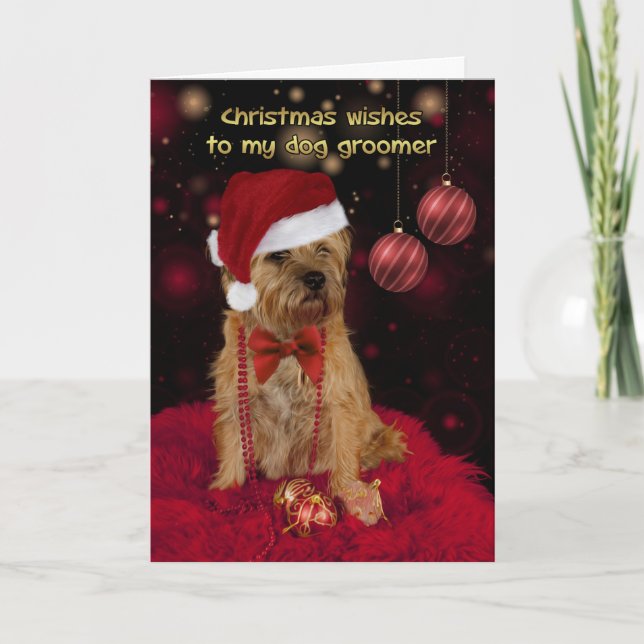 Dog Groomer Christmas Card, Border Terrier Holiday Card (Front)
