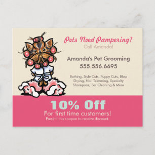 Dog Groomer Pet Spa Coupon Mailer Yorkie Curlers Postcard