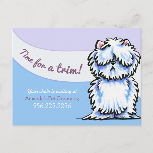 Dog Groomer Shabby Westie Appointment Reminder Postcard (Front)