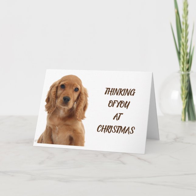 DOG GROOMER, VETERINARIAN AND DOG WALKER CARD (Front)