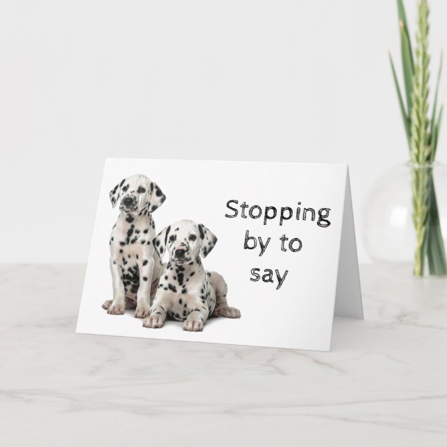 DOG GROOMER, VETERINARIAN AND DOG WALKER CARD (Front)