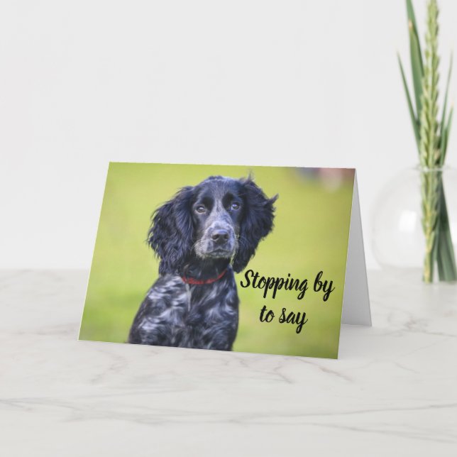 DOG GROOMER, VETERINARIAN AND DOG WALKER CARD (Front)