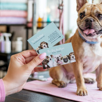 Dog grooming boutique pet sitter cute puppy script