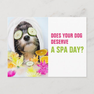 Dog Grooming Postcard-Spa Postcard