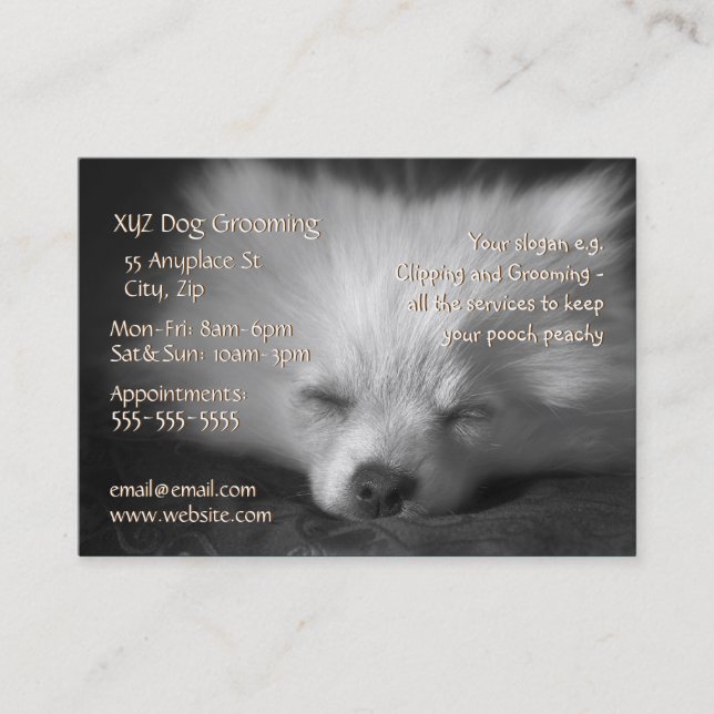 Dog Grooming Service business card template (Front)