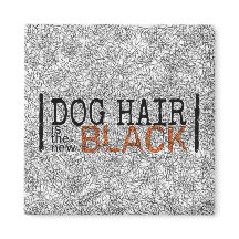 Dog Hair is the New Black Magnet