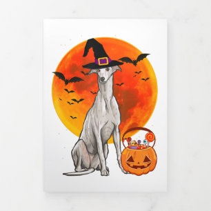 Dog Halloween Greyhound Jack O Lantern Pumpkin Tri-Fold Announcement