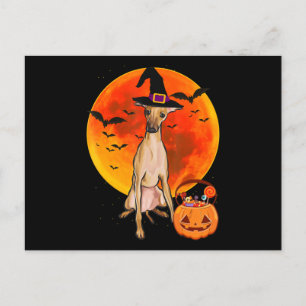 dog halloween italian greyhound jack o lantern pum holiday postcard