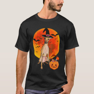 dog halloween italian greyhound jack o lantern pum T-Shirt