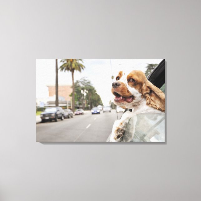 Dog hanging head out of car window canvas print (Front)