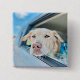Dog Hanging Out Car Window Sunny Day Button