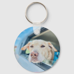 Dog Hanging Out Car Window Sunny Day Button Key Ring