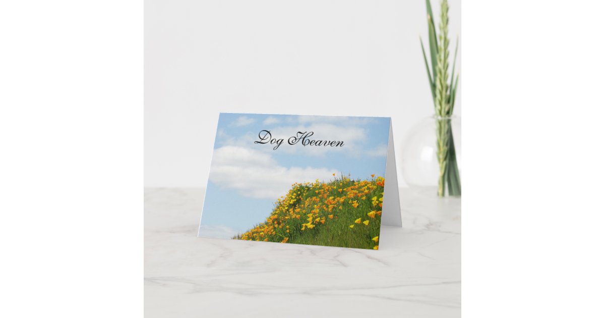 Dog Heaven Sympathy Cards Sorry For Your Loss Zazzle Co Uk Dog Heaven Sympathy Cards Sorry For Your Loss Zazzle Co Uk