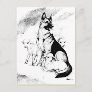 Dog Heaven, the Master's Flock Postcard