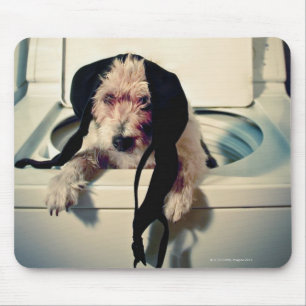 Dog helping out with the wash mouse mat