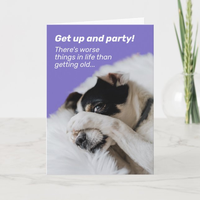 Dog Hiding Face - There's Worse Things Birthday Card (Front)