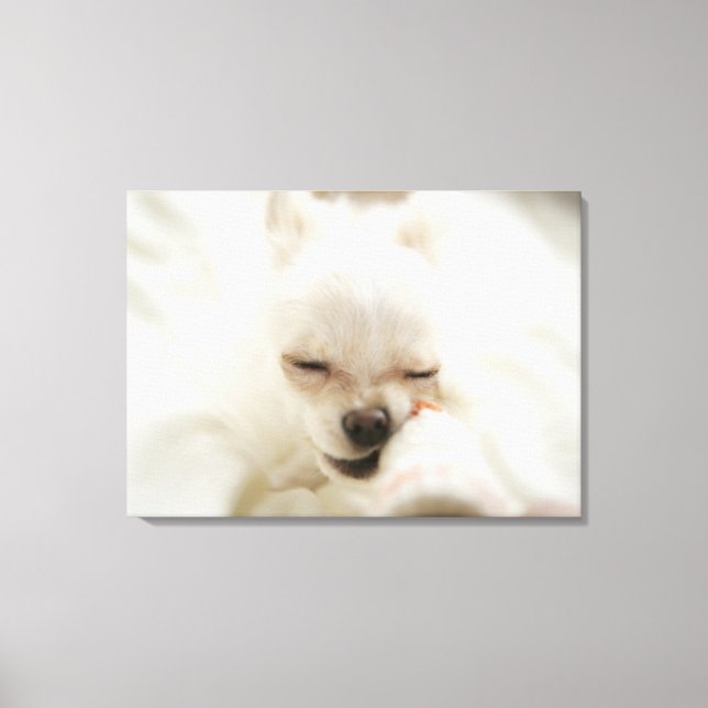 Dog holding toy in mouth canvas print (Front)