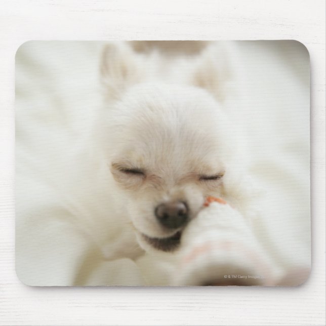Dog holding toy in mouth mouse mat (Front)