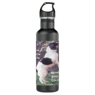Dog Horse Poem By Ladee Basset 710 Ml Water Bottle