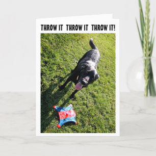 Dog humour birthday card