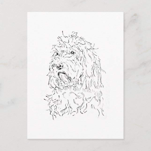 Dog Illustration, Cute Art Cockapoo Postcard (Front)