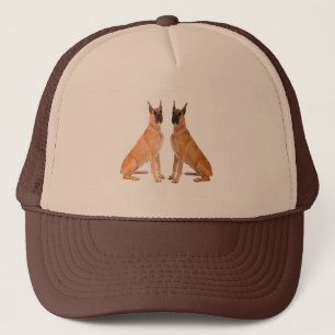 Dog Image for Panel Cap