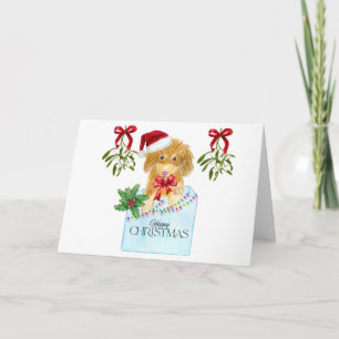 Dog in A blue box Christmas Card