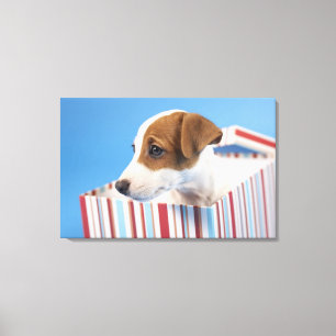 Dog in a Gift Box Canvas Print