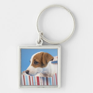 Dog in a Gift Box Key Ring