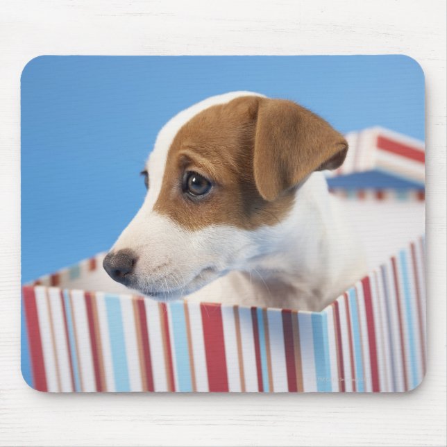 Dog in a Gift Box Mouse Mat (Front)