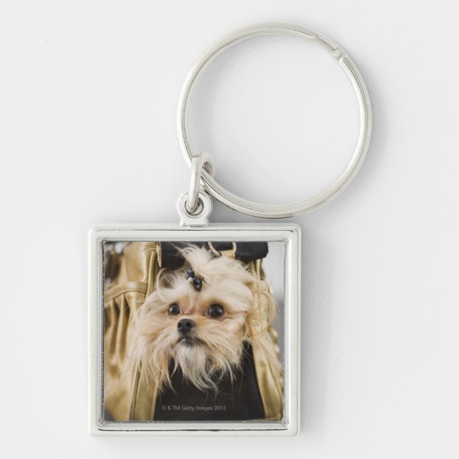 Dog in a purse key ring (Front)