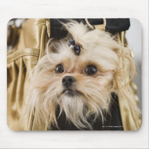 Dog in a purse mouse mat