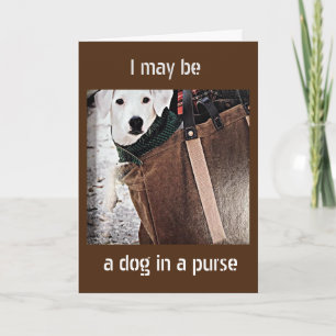 ***DOG IN A PURSE SAYS HAPPY ANNIVERSARY*** CARD