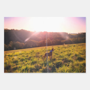 Dog in a Sunset Landscape Photography Wrapping Paper Sheet