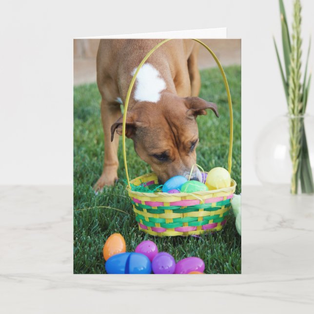 Dog in Basket Easter Card (Front)