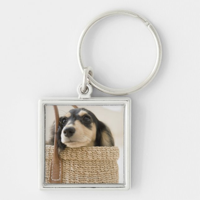 Dog in basket key ring (Front)