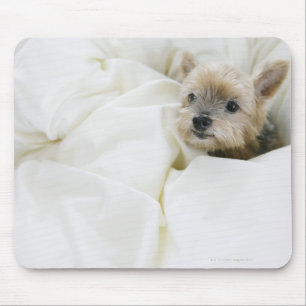 Dog in bed mouse mat
