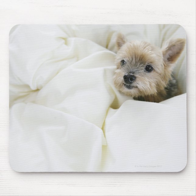 Dog in bed mouse mat (Front)