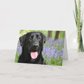 Dog in Bluebells Greeting Card