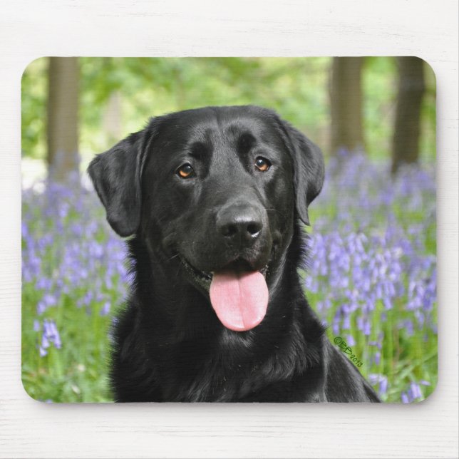 Dog in Bluebells Mouse Mat (Front)