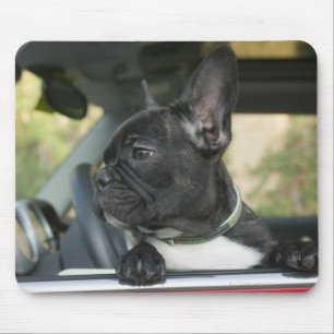 Dog in car mouse mat