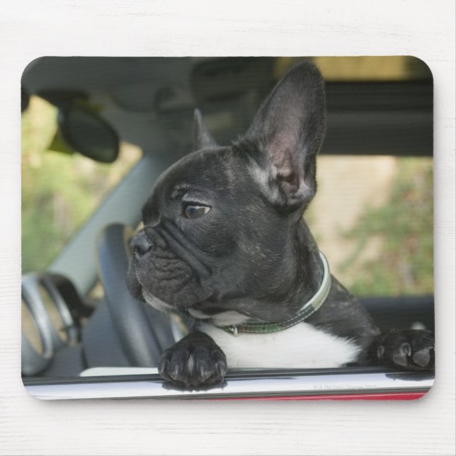 Dog in car mouse mat (Front)