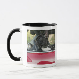 Dog in car mug