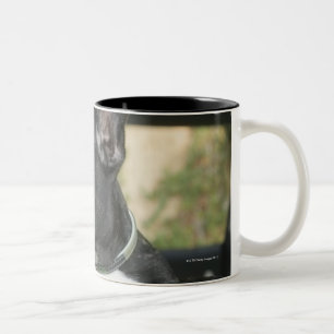 Dog in car Two-Tone coffee mug