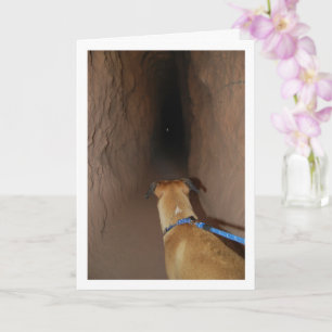 Dog in Cave Card