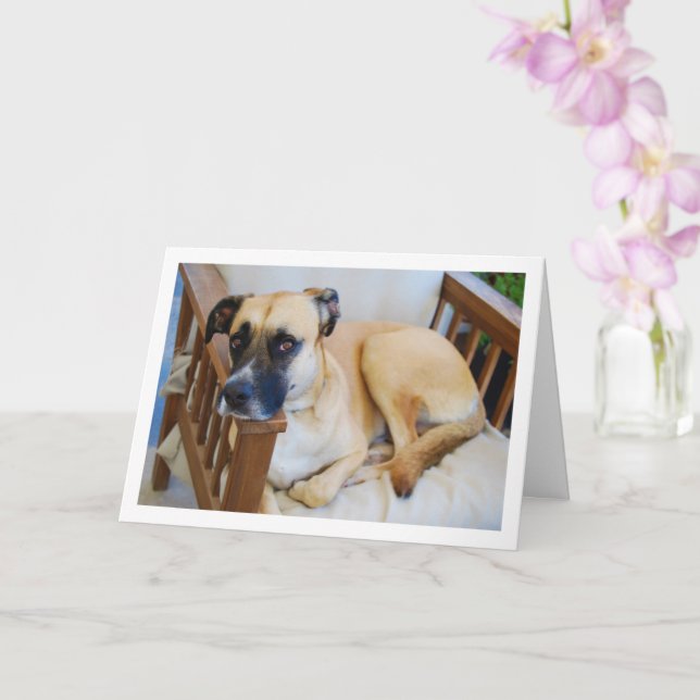 Dog in Chair Portrait Card (Orchid)