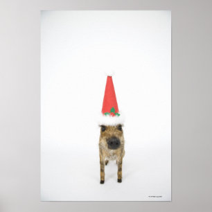 Dog in Christmas hat Poster