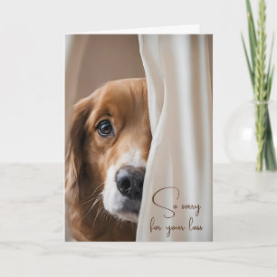 Dog In Curtain Pet Loss Sympathy Card