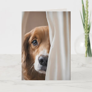 Dog In Curtains For Missing You Card