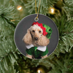 Dog in Elf Costume Ceramic Tree Decoration